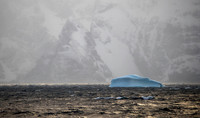 Elephant Island