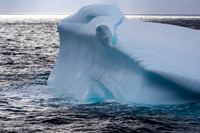 Iceberg