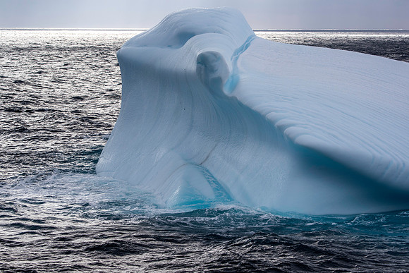 Iceberg