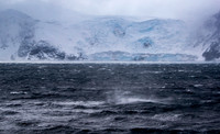 Elephant Island