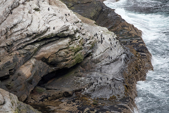 Rockhopper Highway