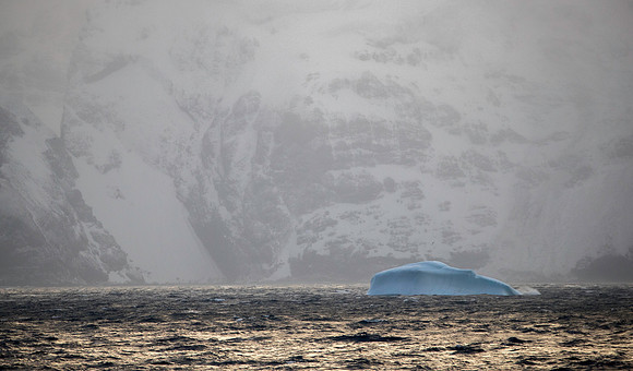 Elephant Island