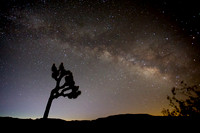 Milky Way over Joshua Tree