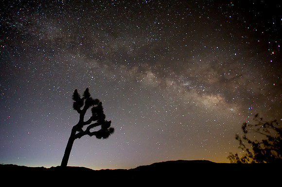 Milky Way over Joshua Tree