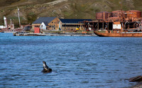 Grytviken