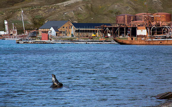 Grytviken