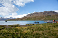Arriving in Grytviken