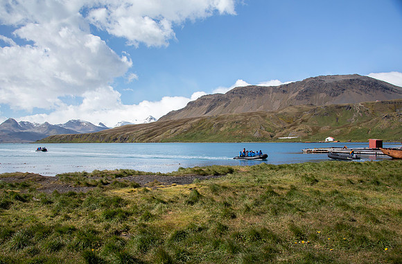 Arriving in Grytviken