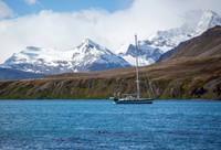 Grytviken harbor