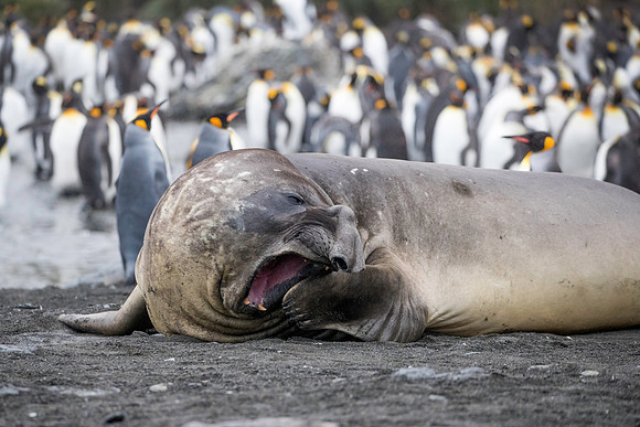 ...and yawn