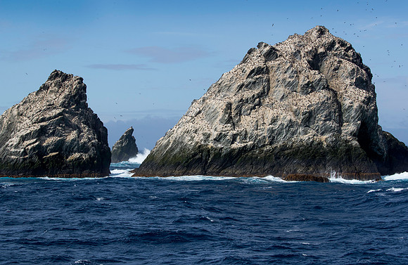 Shag Rocks