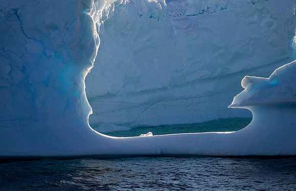 Iceberg