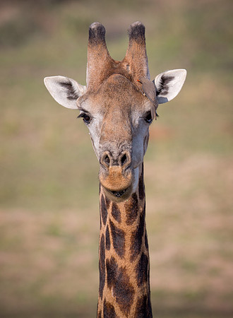 Straight up!