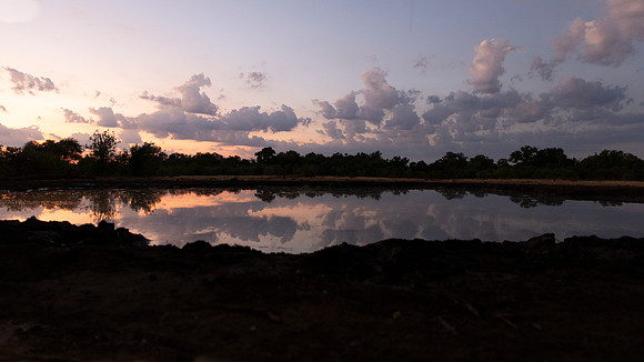 Sunrise at the water hole